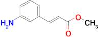 Methyl (E)-3-(3-aminophenyl)acrylate