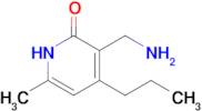 3-(Aminomethyl)-6-methyl-4-propylpyridin-2(1H)-one