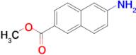 Methyl 6-amino-2-naphthoate