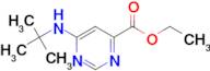 Ethyl 6-(tert-butylamino)pyrimidine-4-carboxylate