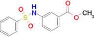 Methyl 3-benzenesulfonamidobenzoate