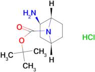 tert-butyl rac-(1S,2R,4R)-2-amino-7-azabicyclo[2.2.1]heptane-7-carboxylate hydrochloride