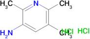 2,5,6-trimethyl-3-pyridinamine dihydrochloride