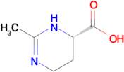 (S)-2-Methyl-3,4,5,6-tetrahydropyrimidine-4-carboxylic acid