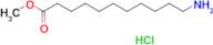 11-Aminoundecanoic acid methyl ester hydrochloride