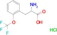 2-(trifluoromethoxy)-L-phenylalanine hydrochloride