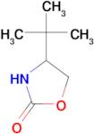 4-tert-butyl-1,3-oxazolidin-2-one