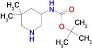 tert-butyl N-(5,5-dimethylpiperidin-3-yl)carbamate