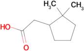 2-(2,2-dimethylcyclopentyl)acetic acid