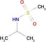 N-(propan-2-yl)methanesulfonamide