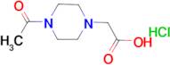 2-(4-acetylpiperazin-1-yl)acetic acid hydrochloride