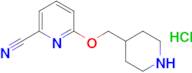 6-[(piperidin-4-yl)methoxy]pyridine-2-carbonitrile hydrochloride