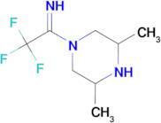 1-(3,5-dimethylpiperazin-1-yl)-2,2,2-trifluoroethan-1-imine