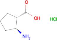 (1S,2S)-2-Aminocyclopentanecarboxylic acid hydrochloride