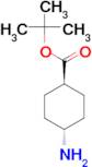 trans-tert-Butyl 4-aminocyclohexanecarboxylate