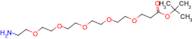 AMINO-PEG5-T-BUTYL ESTER