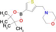 2-(MORPHOLINOMETHYL)THIOPHEN-4-BORONIC ACID, PINACOL ESTER