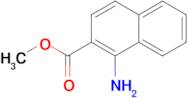 METHYL 1-AMINONAPHTHALENE-2-CARBOXYLATE