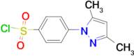 4-(3,5-dimethyl-1H-pyrazol-1-yl)benzenesulfonyl chloride