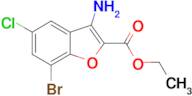 ethyl 3-amino-7-bromo-5-chloro-1-benzofuran-2-carboxylate