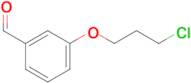 3-(3-Chloropropoxy)benzaldehyde