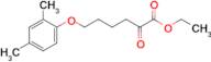 6-(2,4-Dimethylphenoxy)-2-oxo-hexanoic acid ethyl ester