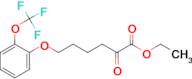 6-(2-(Trifluoromethoxy)phenoxy)-2-oxo-hexanoic acid ethyl ester