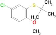 tert-Butyl (3-chloro-6-methoxyphenyl) sulfide