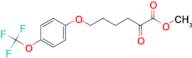 Methyl 6-[4-(trifluoromethoxy)phenoxy)-2-oxohexanoate