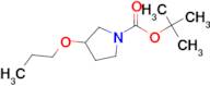 tert-Butyl 3-propoxypyrrolidine-1-carboxylate