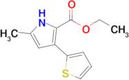 Ethyl 5-methyl-3-(thiophen-2-yl)-1H-pyrrole-2-carboxylate