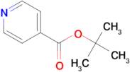 tert-Butyl isonicotinate