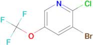 3-Bromo-2-chloro-5-(trifluoromethoxy)pyridine