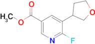 Methyl 6-fluoro-5-(tetrahydrofuran-3-yl)nicotinate