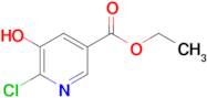 Ethyl 6-chloro-5-hydroxynicotinate