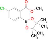 5-Chloro-2-(4,4,5,5-tetramethyl-[1,3,2]dioxaborolan-2-yl)benzoic acid methyl ester