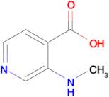 3-(Methylamino)isonicotinic Acid