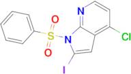 1-(benzenesulfonyl)-4-chloro-2-iodo-1H-pyrrolo[2,3-b]pyridine