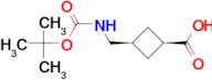 cis-3-({[(tert-butoxy)carbonyl]amino}methyl)cyclobutane-1-carboxylic acid