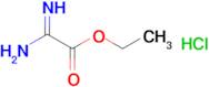 Ethyl 2-amino-2-iminoacetate hydrochloride