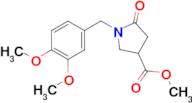 1-(3,4-Dimethoxy-benzyl)-5-oxo-pyrrolidine-3-carboxylic acid methyl ester