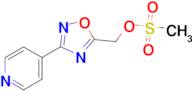 Methanesulfonic acid 3-pyridin-4-yl-[1,2,4]oxadiazol-5-ylmethyl ester