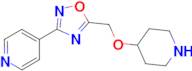 4-[5-(Piperidin-4-yloxymethyl)-[1,2,4]oxadiazol-3-yl]-pyridine