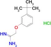 2-(3-tert-Butyl-phenoxy)-acetamidine; hydrochloride