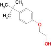 2-(4-tert-Butyl-phenoxy)-ethanol