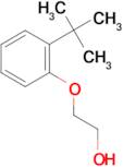 2-(2-tert-Butyl-phenoxy)-ethanol