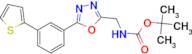 [5-(3-Thiophen-2-yl-phenyl)-[1,3,4]oxadiazol-2-ylmethyl]-carbamic acid tert-butyl ester