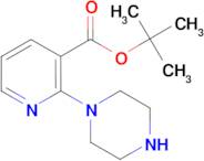 2-Piperazin-1-yl-nicotinic acid tert-butyl ester