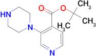 3-Piperazin-1-yl-isonicotinic acid tert-butyl ester