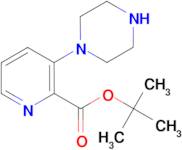 3-Piperazin-1-yl-pyridine-2-carboxylic acid tert-butyl ester